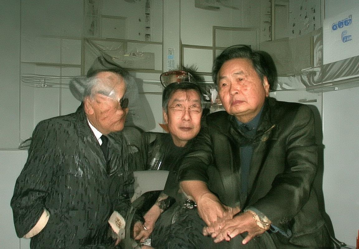 2002世界杯德沙之战：东西方足球文化碰撞与战术解析(图4)