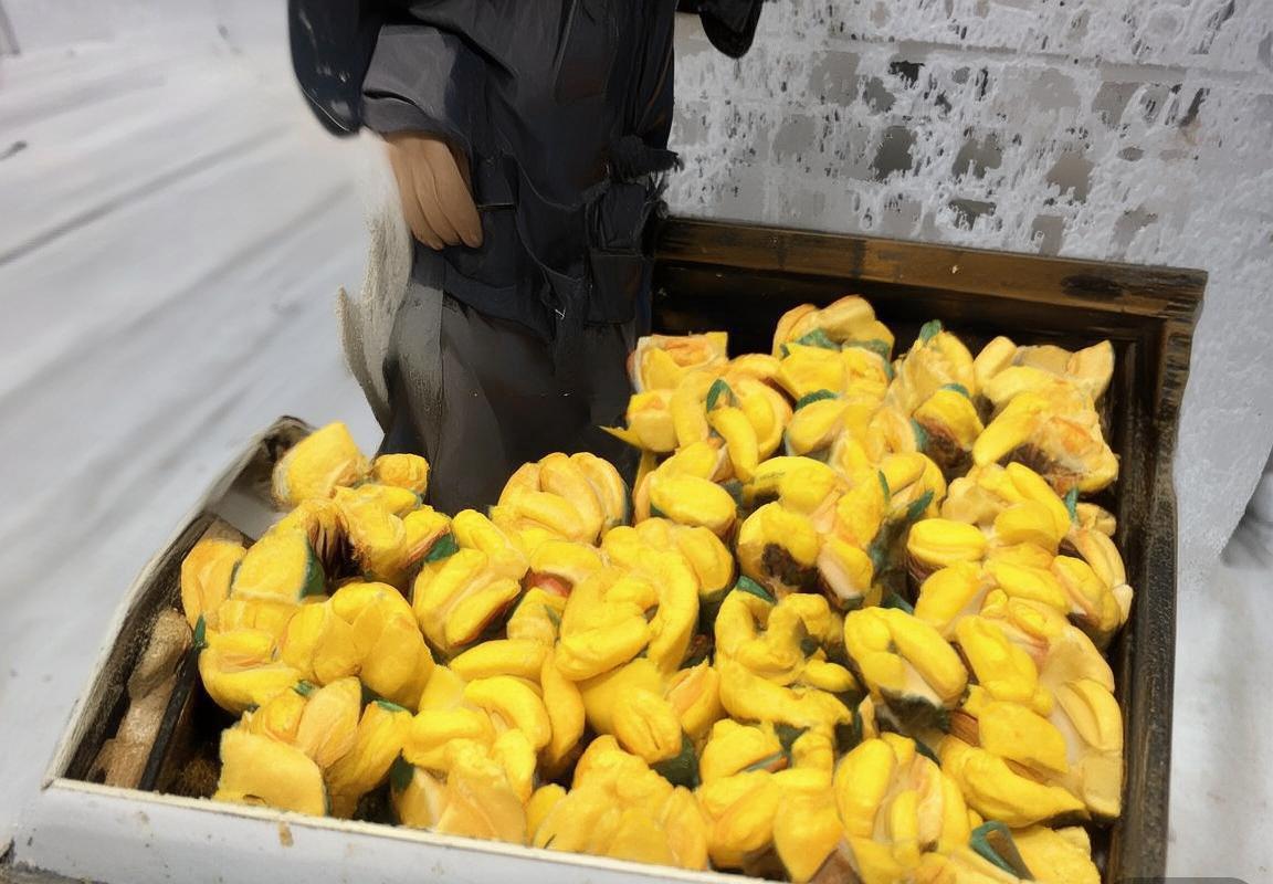 格勒诺布VS卡昂：深度解析两队对决与比赛前景